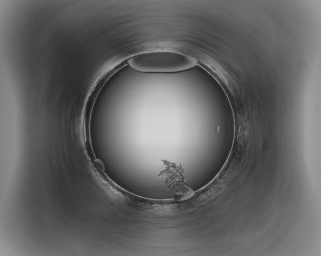X0000116681080200912141427