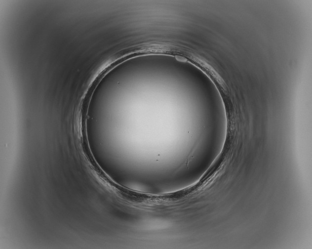 X0000116681083200912141427