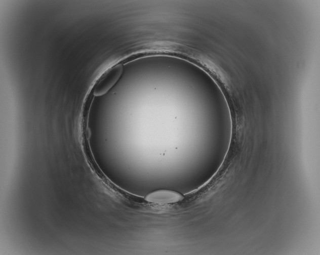 X0000116681085200912141427