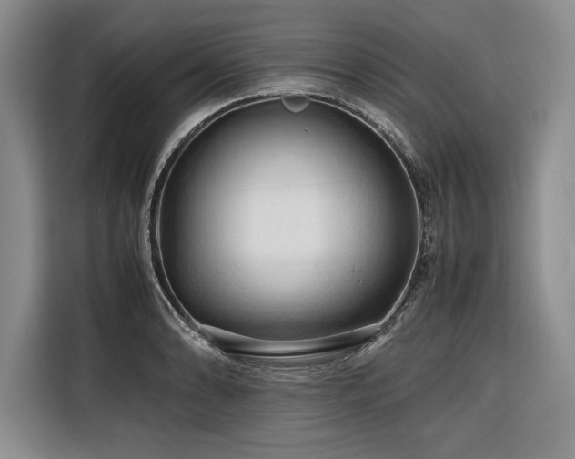X0000116681086200912141427