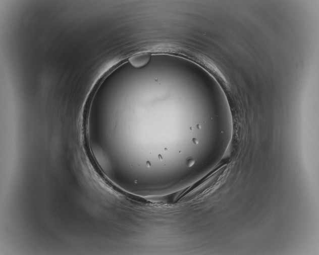 X0000116681087200912141427