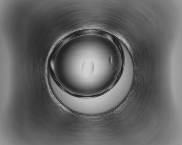 X0000116681088200912141427
