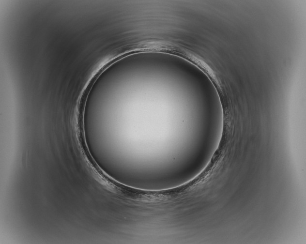 X0000116681091200912141427