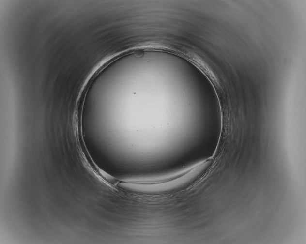 X0000116681092200912141427