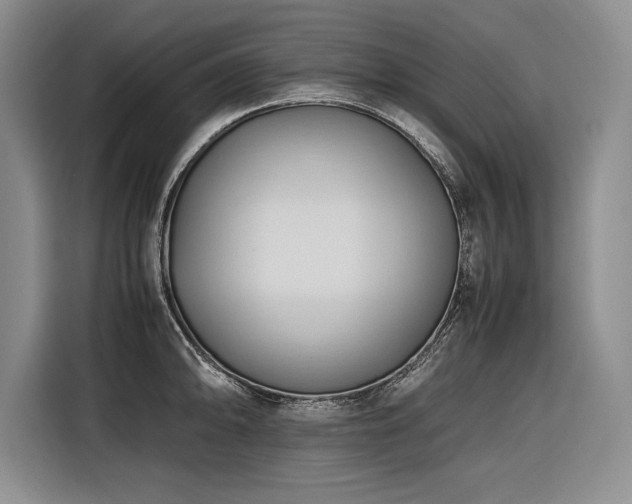 X0000116681094200912141427