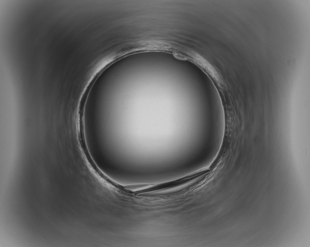 X0000116681095200912141427
