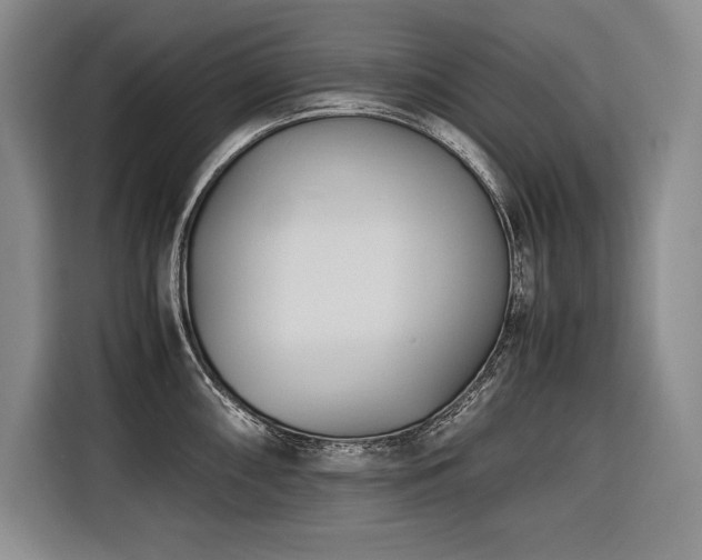 X0000116681098200912141427