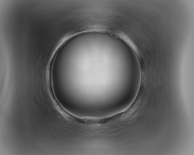X0000116681099200912141427