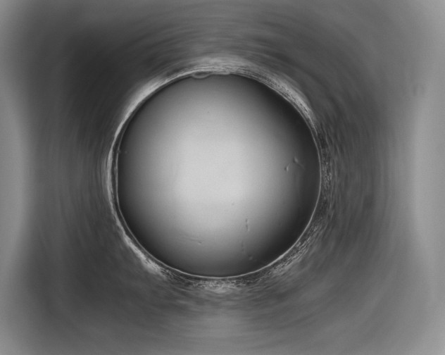 X0000116681103200912141427