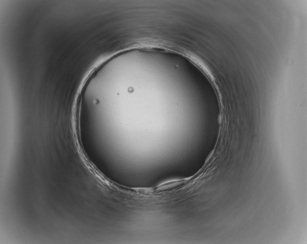 X0000116681104200912141427
