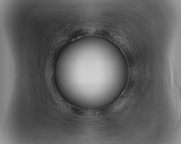 X0000116681105200912141426