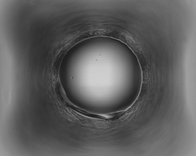 X0000116681109200912141426