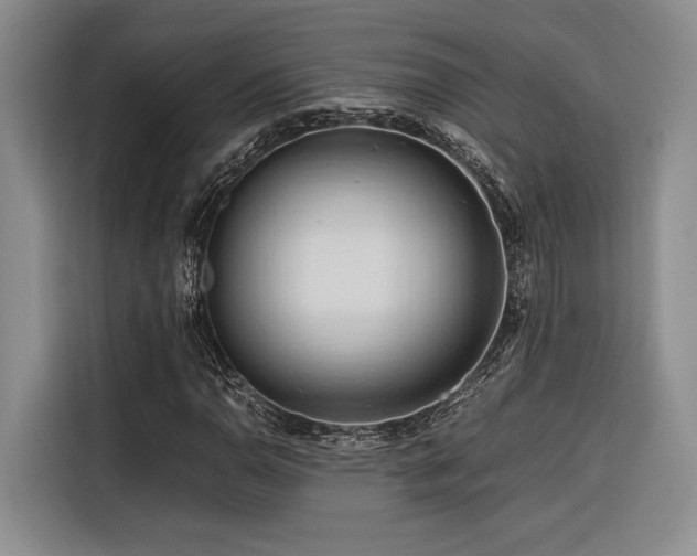X0000116681110200912141426
