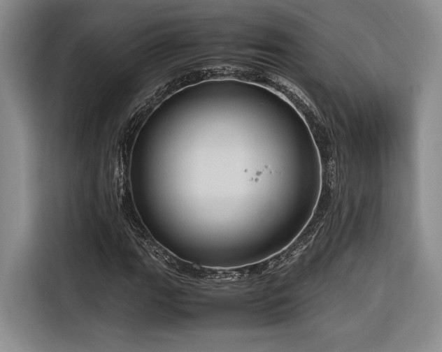X0000116681111200912141426