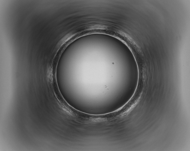 X0000116681113200912141426