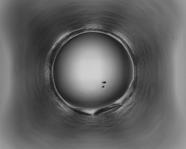 X0000116681115200912141426