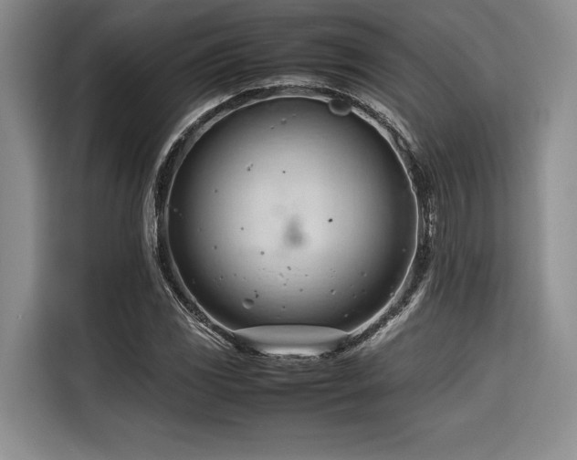 X0000116681117200912141426