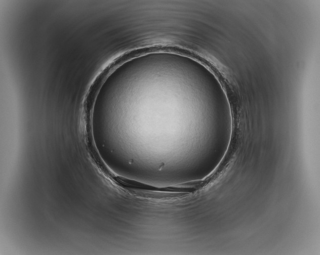 X0000116681118200912141426