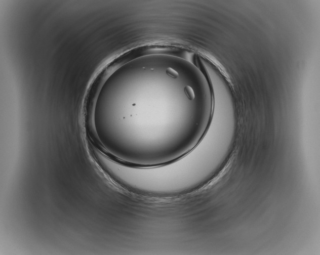X0000116681122200912141426
