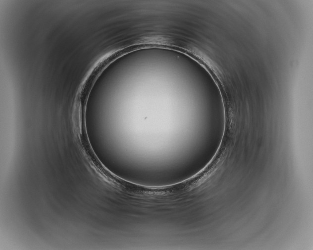 X0000116681123200912141426