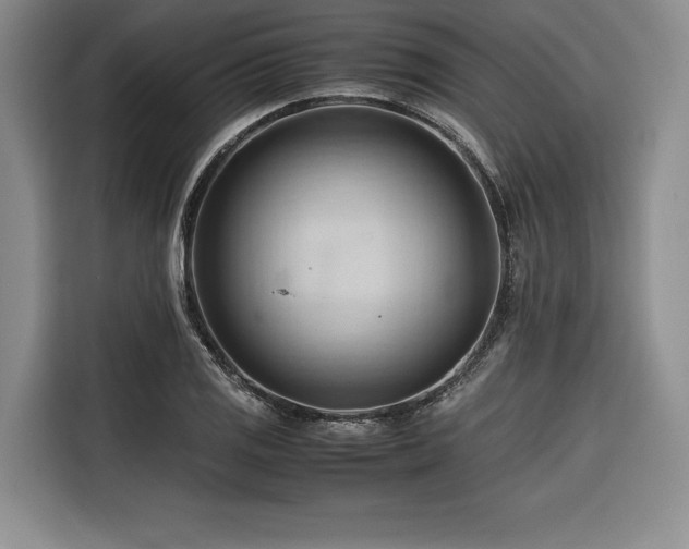 X0000116681125200912141426