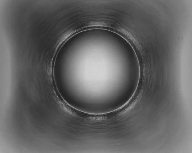 X0000116681129200912141426