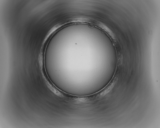 X0000116681130200912141426