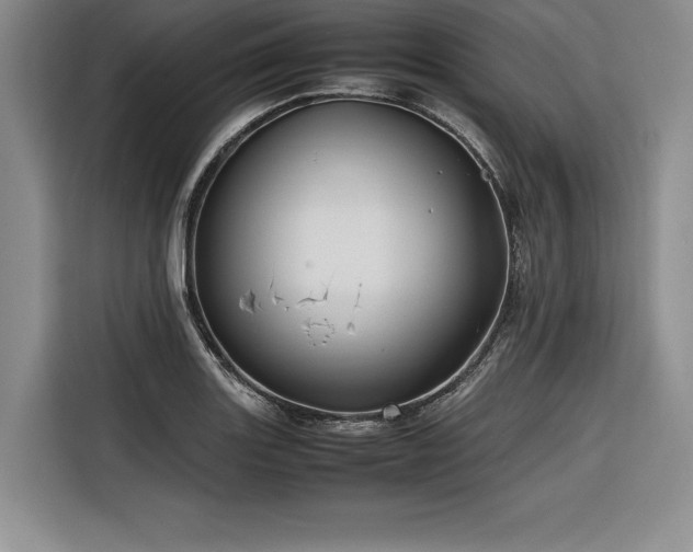 X0000116681131200912141426