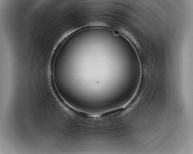 X0000116681133200912141426