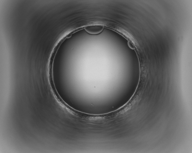 X0000116681135200912141427