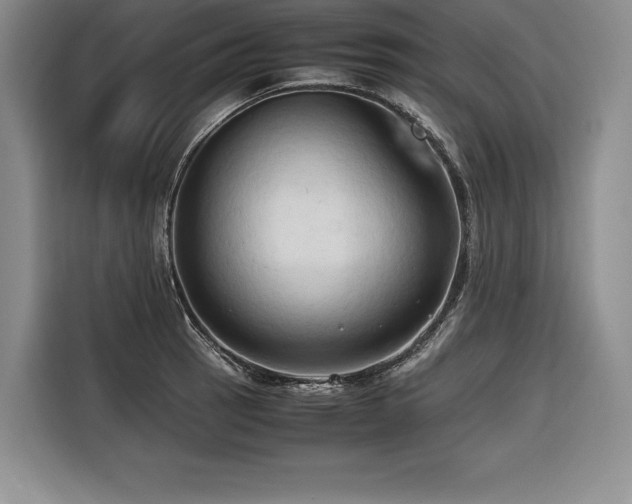 X0000116681137200912141427