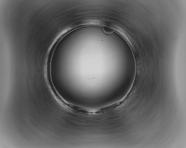 X0000116681139200912141427