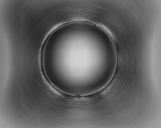 X0000116681142200912141427