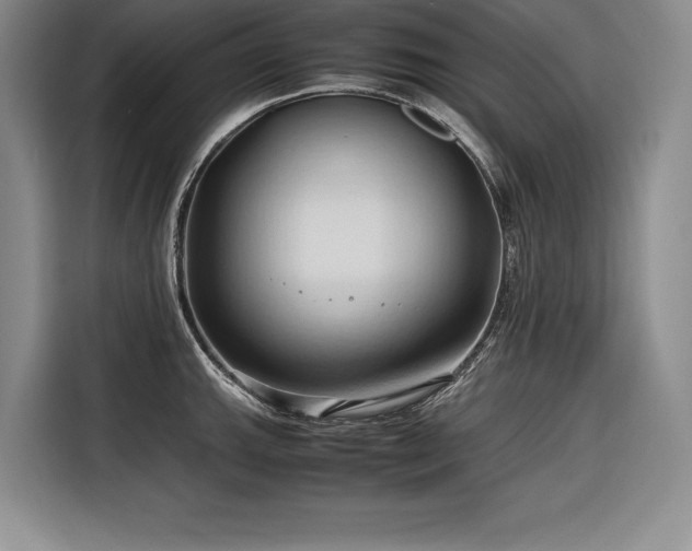 X0000116681143200912141427