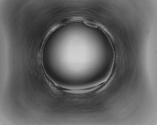 X0000116681145200912141427