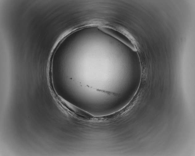 X0000116681146200912141427