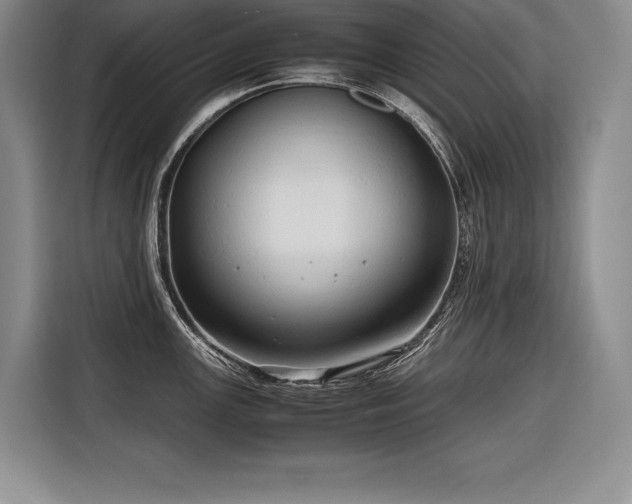 X0000116681147200912141427