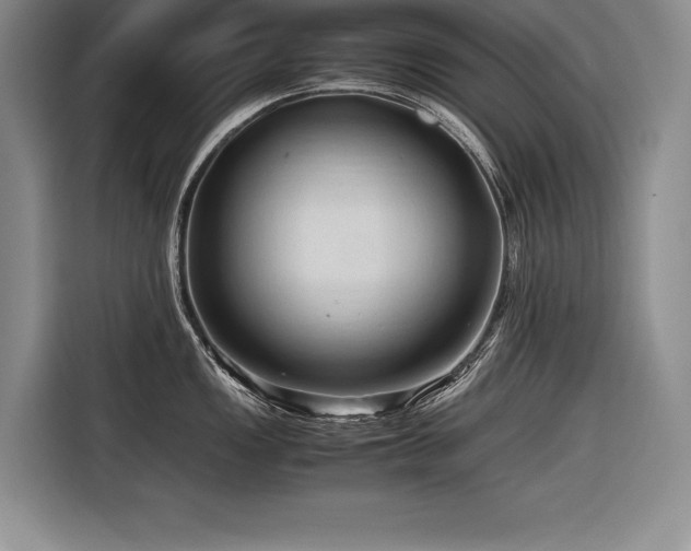 X0000116681149200912141427