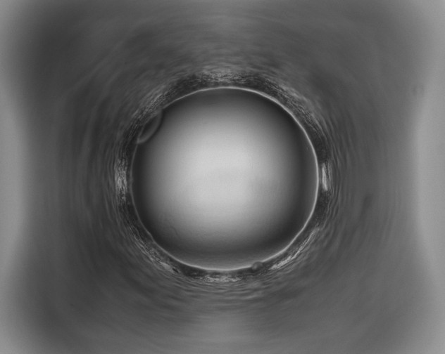 X0000116681155200912141426