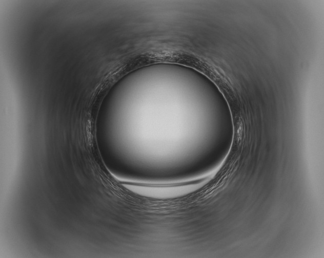 X0000116681156200912141426