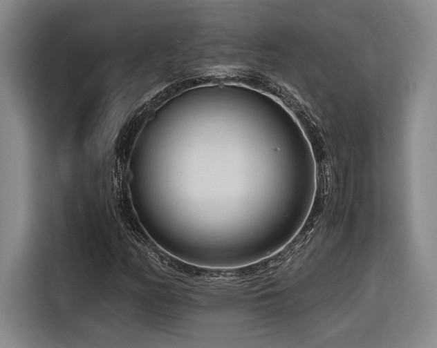 X0000116681158200912141426