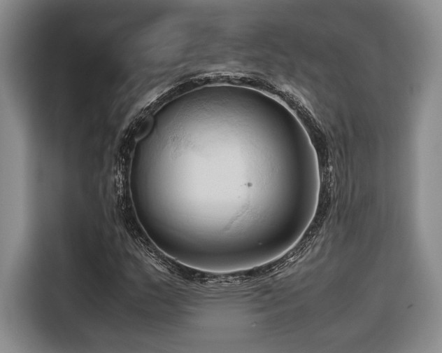 X0000116681159200912141426