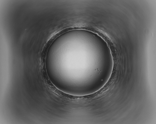 X0000116681160200912141426