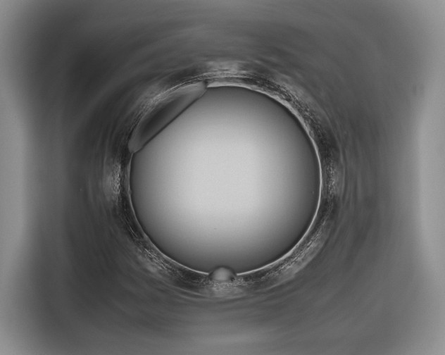 X0000116681161200912141426