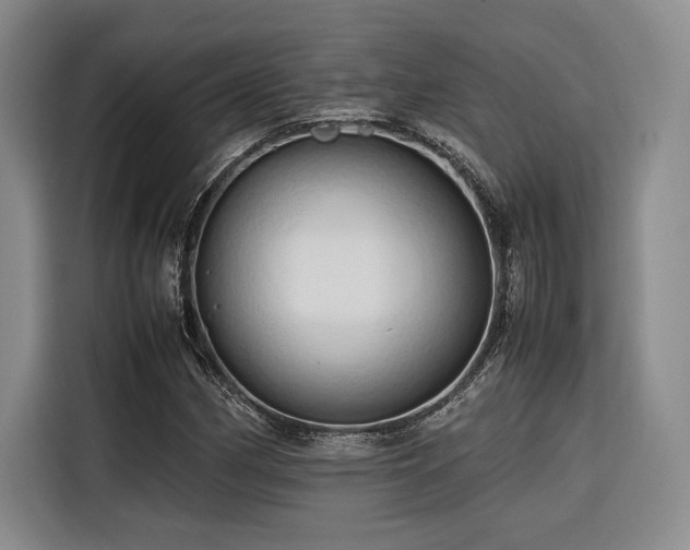 X0000116681162200912141426