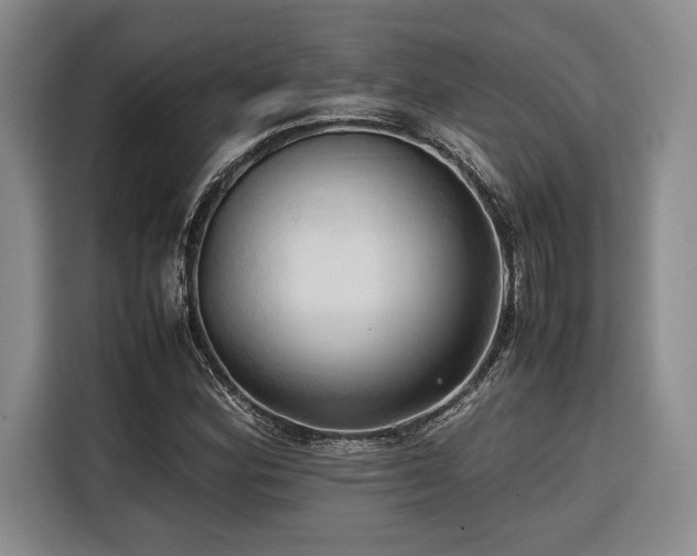 X0000116681164200912141426