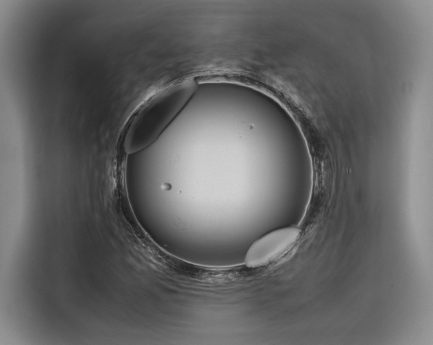 X0000116681165200912141426