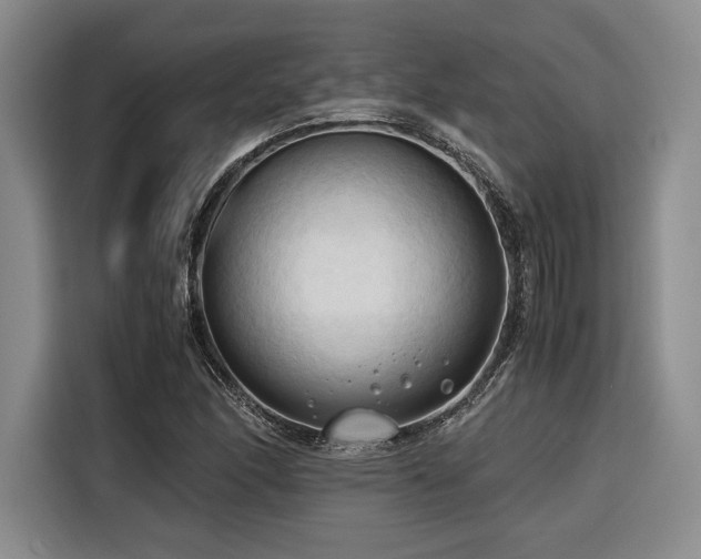 X0000116681166200912141426
