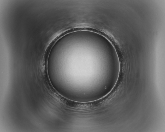 X0000116681167200912141426