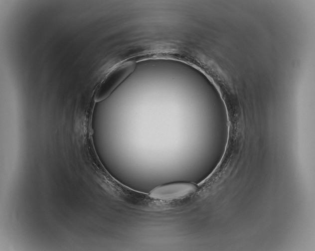 X0000116681169200912141426